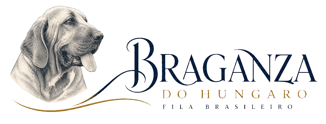 Fila Brasileiro Braganza do Hungaro